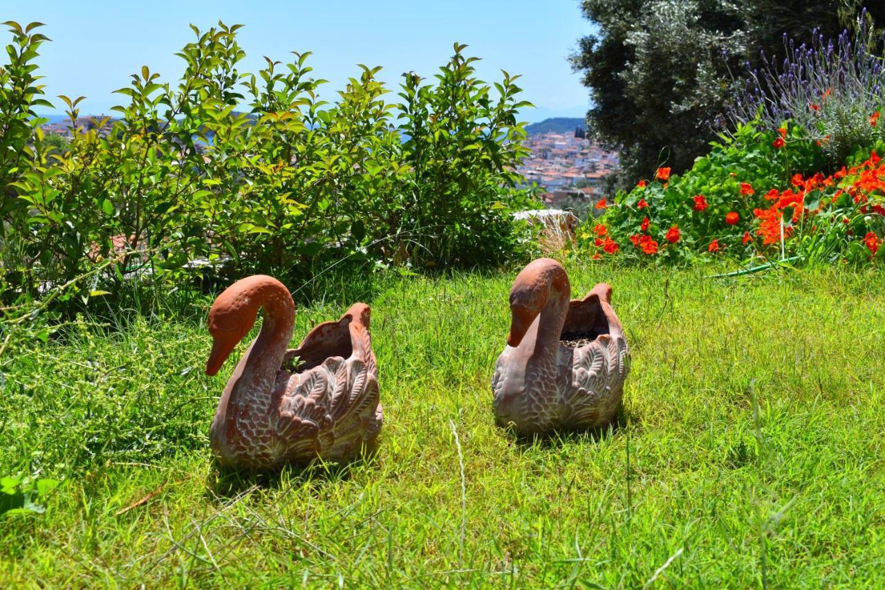 Villa Krini İskados Dış mekan fotoğraf