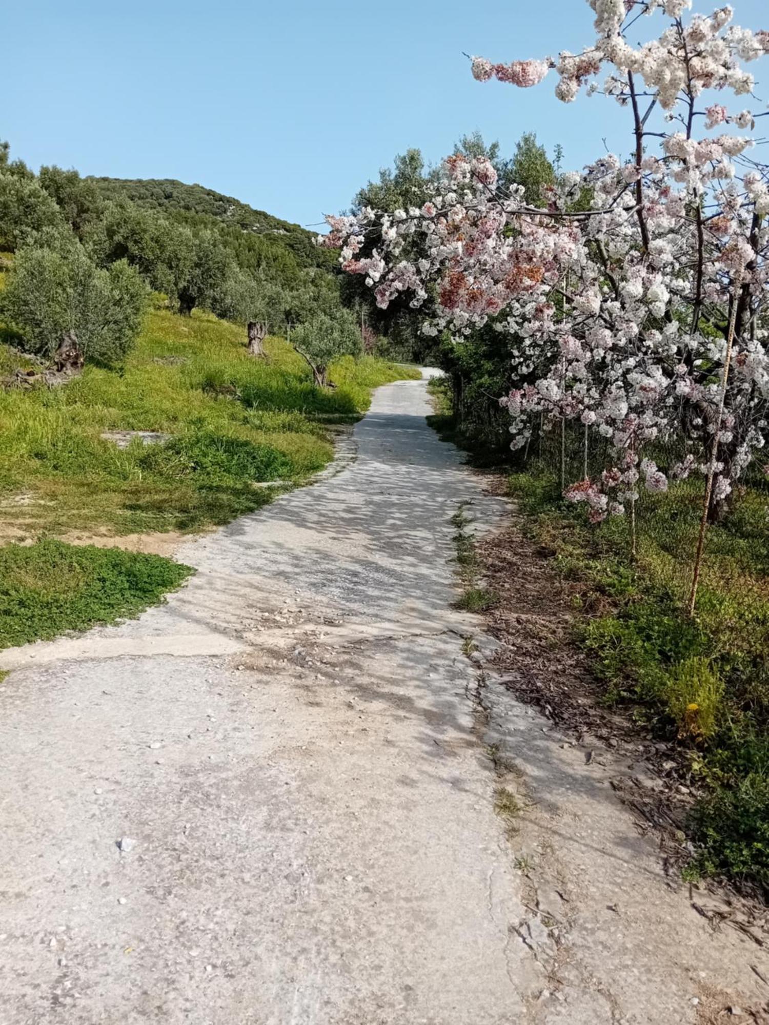 Villa Krini İskados Dış mekan fotoğraf