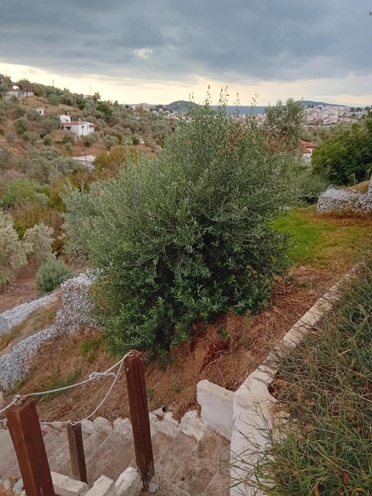 Villa Krini İskados Dış mekan fotoğraf